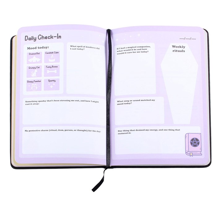 Open journal with daily check-in and weekly rituals sections on a white background