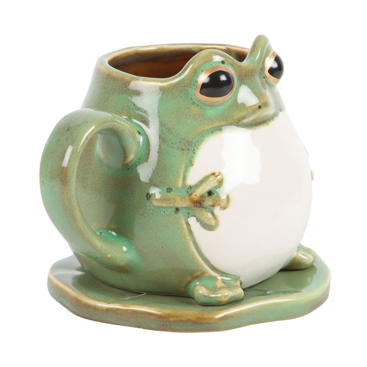 Ceramic frog-shaped planter with a white ball on a white background