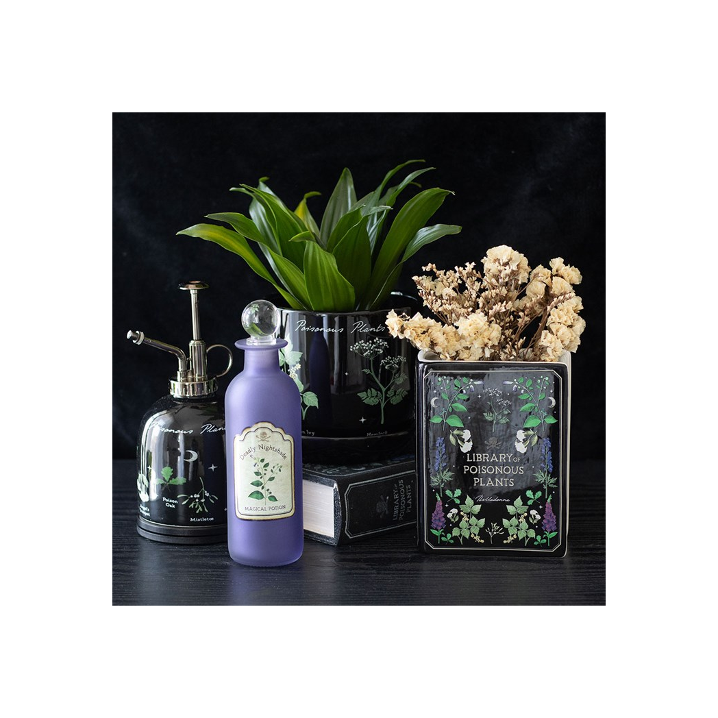 Decorative items including a purple bottle, plant pots, and books on a dark surface.
