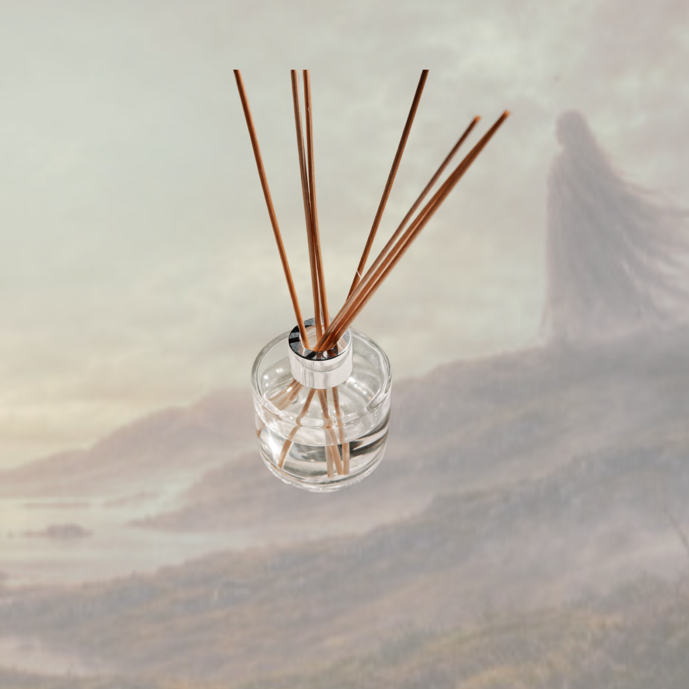 Reed Diffuser