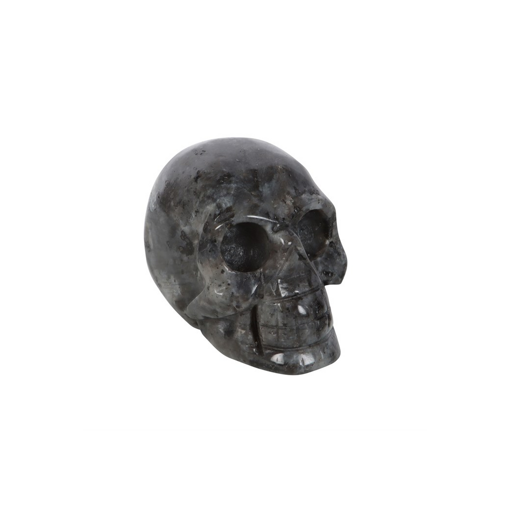 Black stone skull on a white background