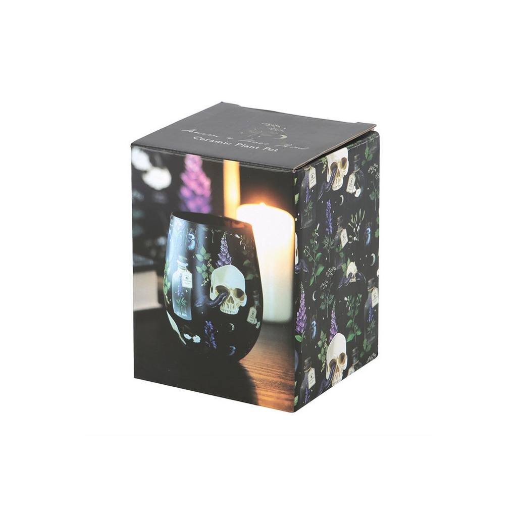 Skull Plant Stemless Wine Glass with a skull design, inside a branded box on a white background