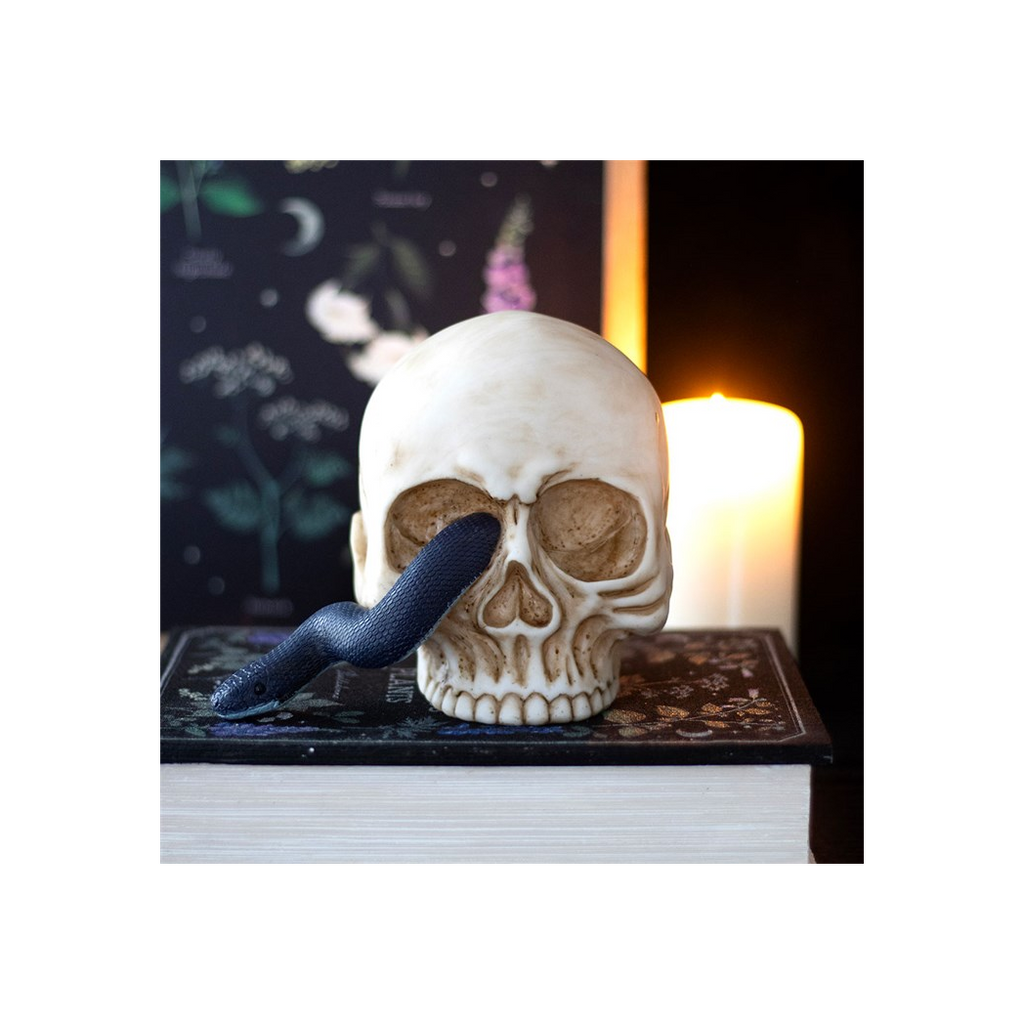 Skull with a snake on a book against a dark background with candles