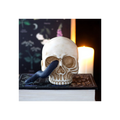 Skull with a snake on a book against a dark background with candles