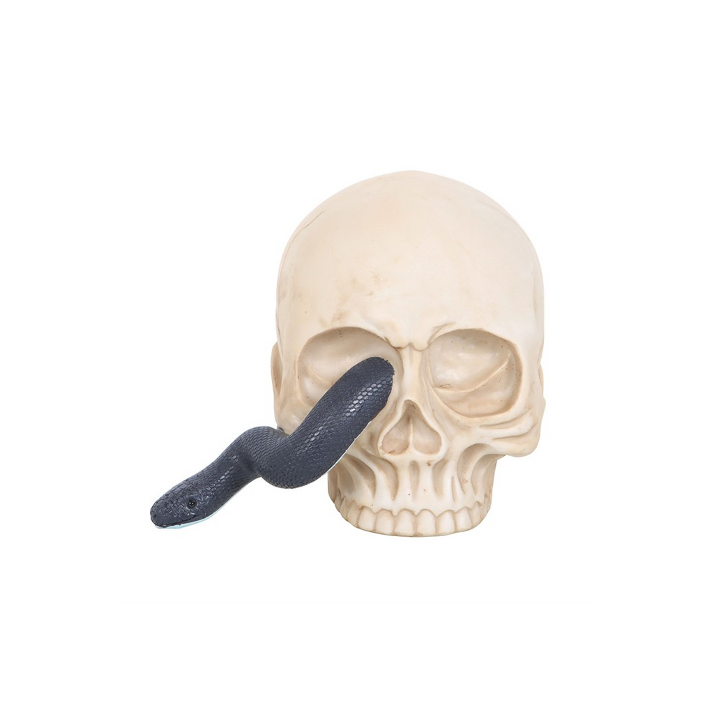 Skull with a black snake emerging from its mouth on a white background