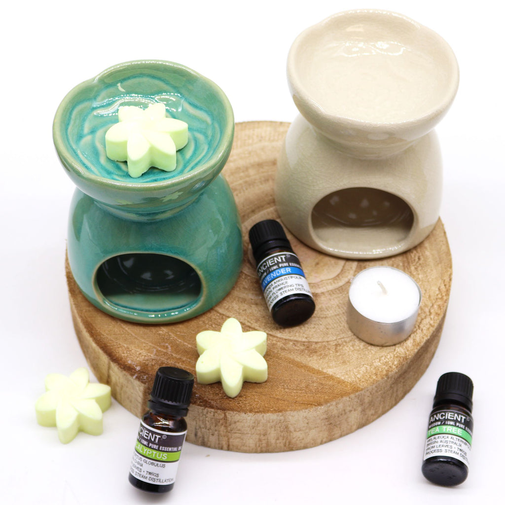 Aromatherapy diffuser set with essential oils and wax melts on a wooden board.