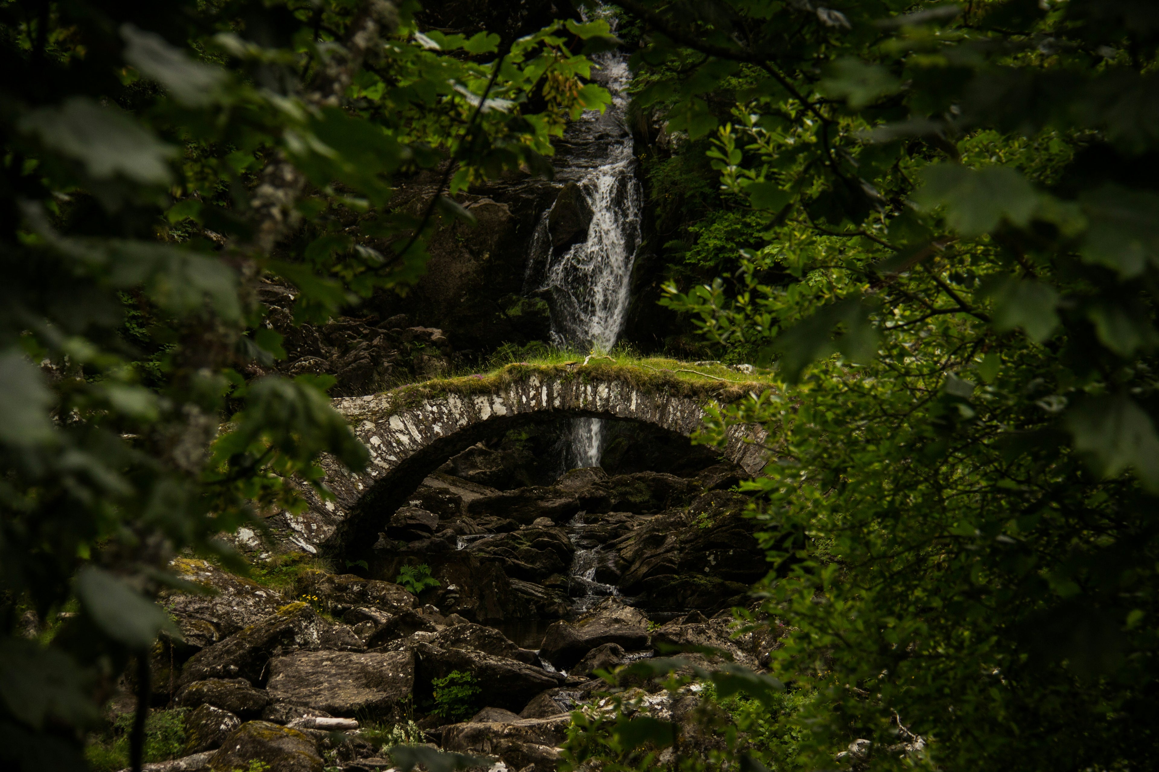 Stone bridge with a waterfall in the center, surrounded by dense greenery